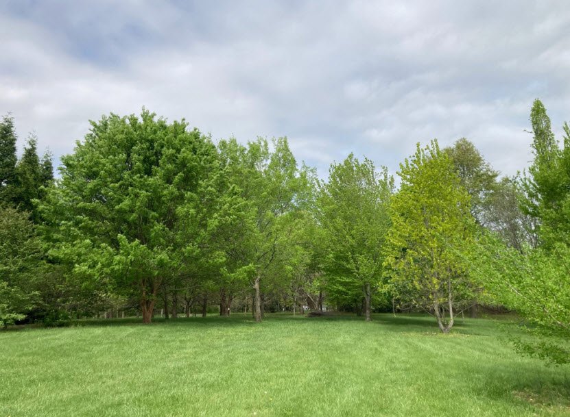 Hartman Arboretum, United States